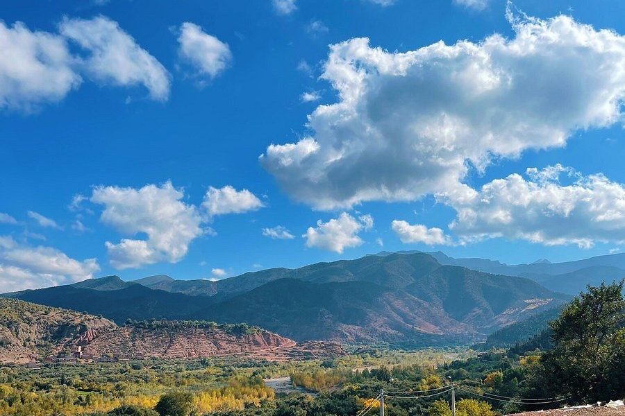 Private Day Trip to the Atlas Mountains Ourika Valley