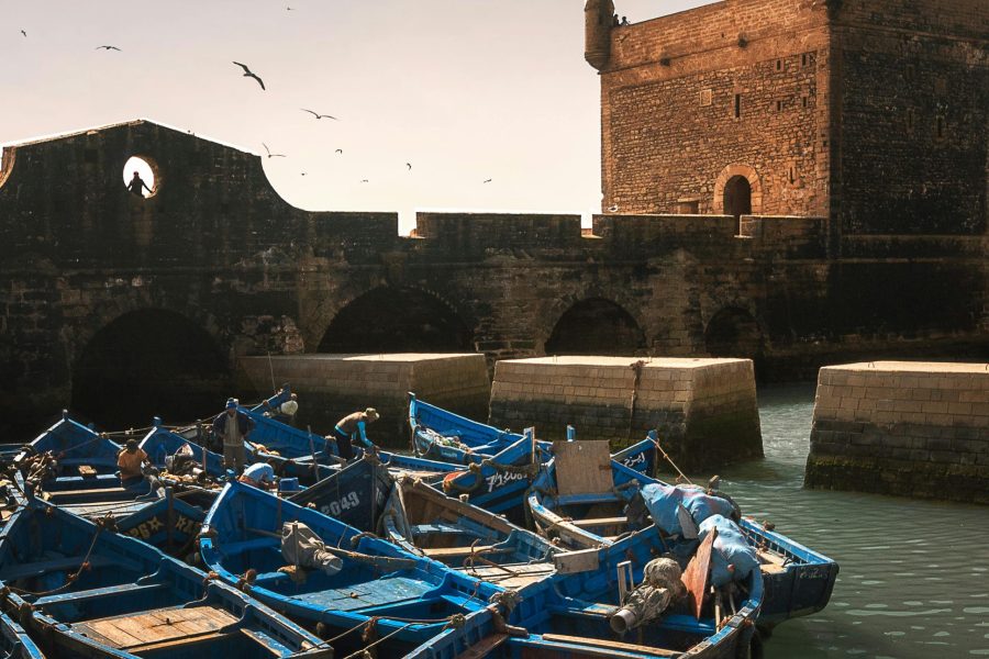 Private day trip To Essaouira