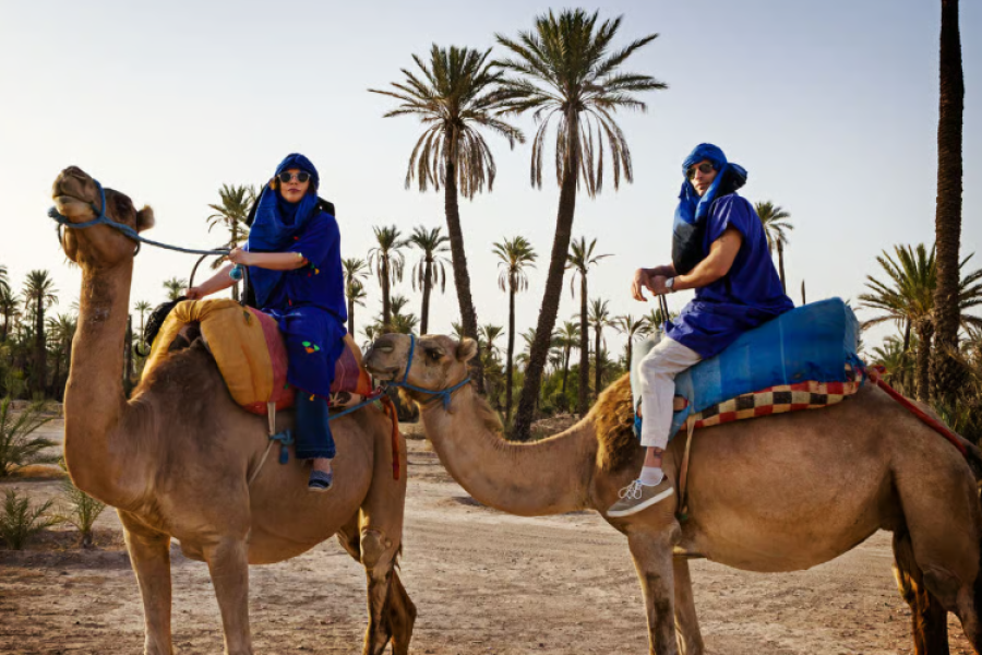Camel Ride in the Palmeraie